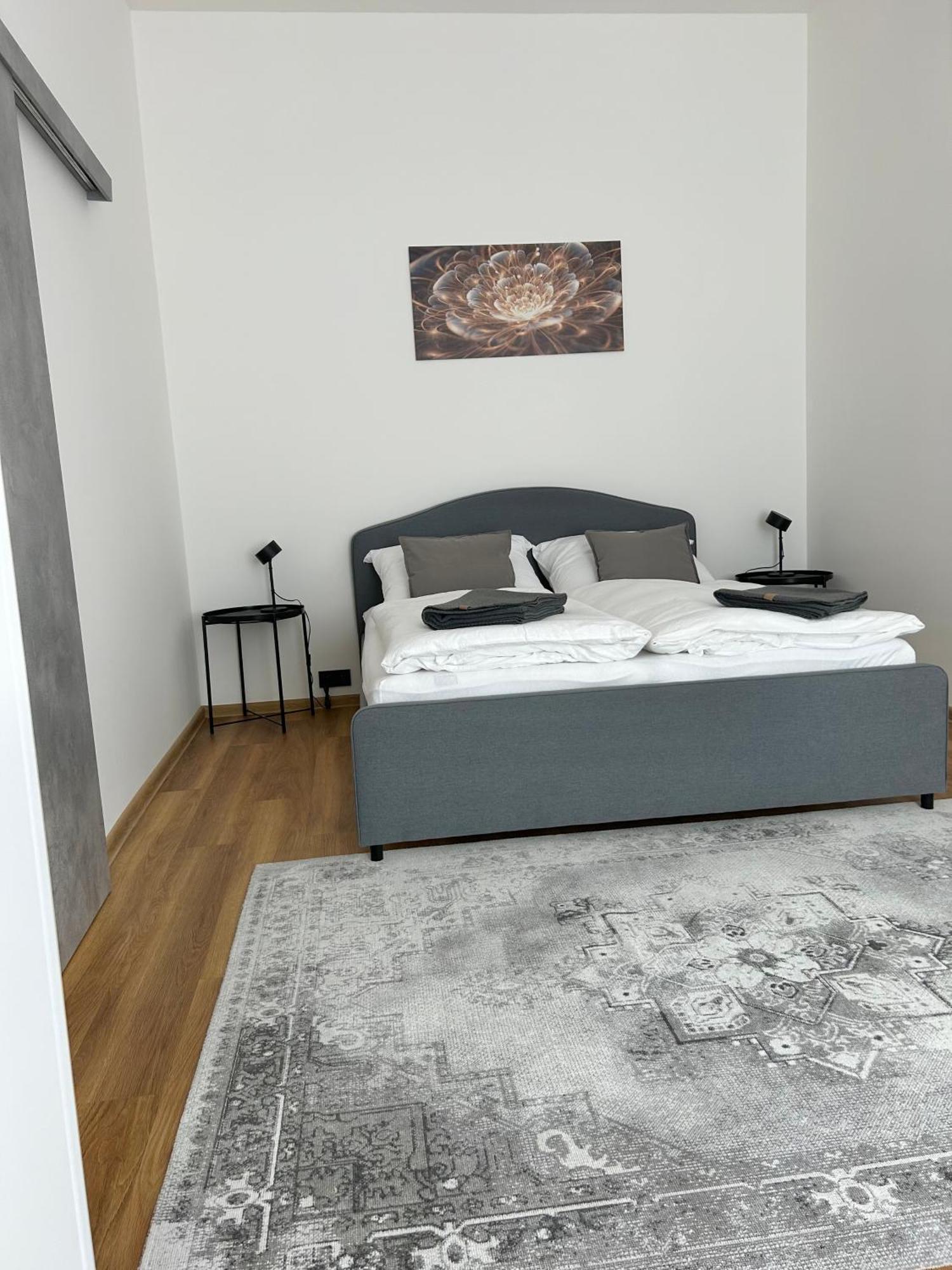 Apartment Dita Karlovy Vary Eksteriør bilde